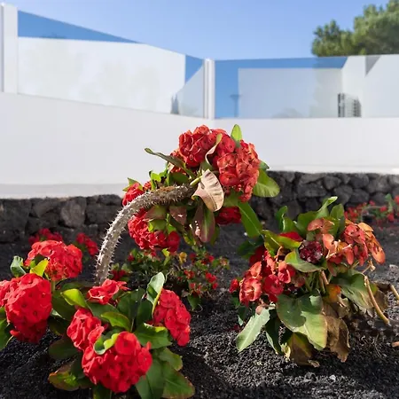 & Princesa Mercedes - Puerto Del Carmen, Lanzarote - Near The 빌라