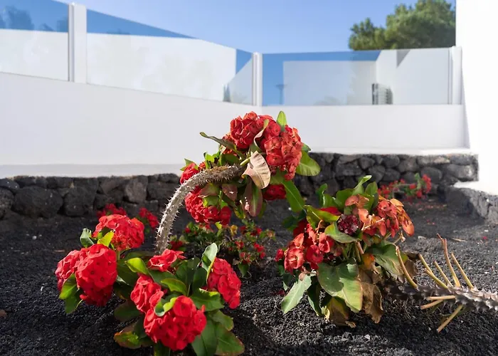 & Princesa Mercedes - Puerto Del Carmen, Lanzarote - Near The 빌라